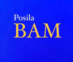 Posila BAM z.s.