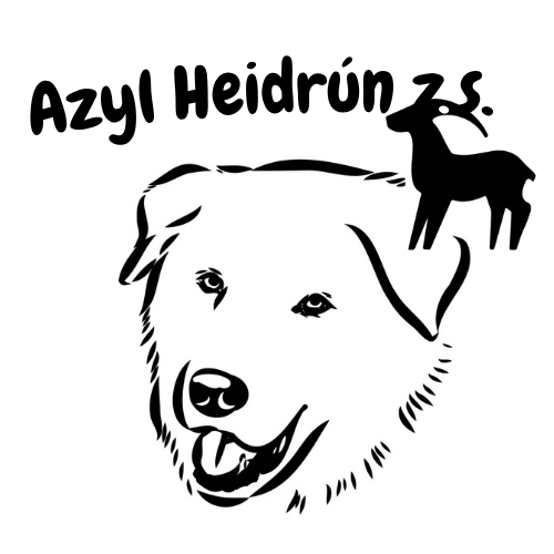 Azyl Heidrún z.s.