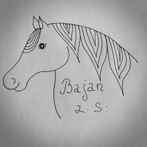Bajan, z.s.