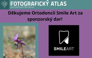Fotografie všech českých rostlin v jedné KNIZE? Pojďme to dotáhnout!
