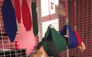 Pomozme Viktorce, aby mohla dál pilovat své první krůčky