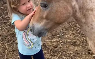 Když tlapky a kopýtka léčí
