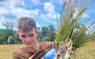 Osud mláďat při senosečích nám není lhostejný