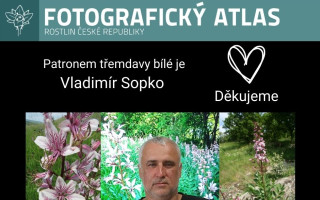 Fotografie všech českých rostlin v jedné KNIZE? Pojďme to dotáhnout!