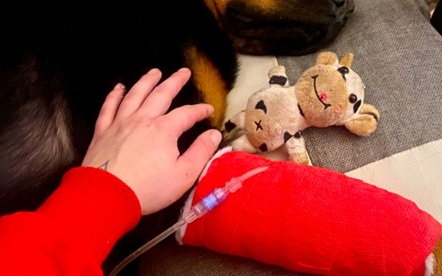 Pomohli jste Chicovi zaplatit veterinární péči
