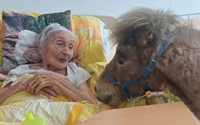 Pomohli jste tlapkám a kopýtkům, které léčí